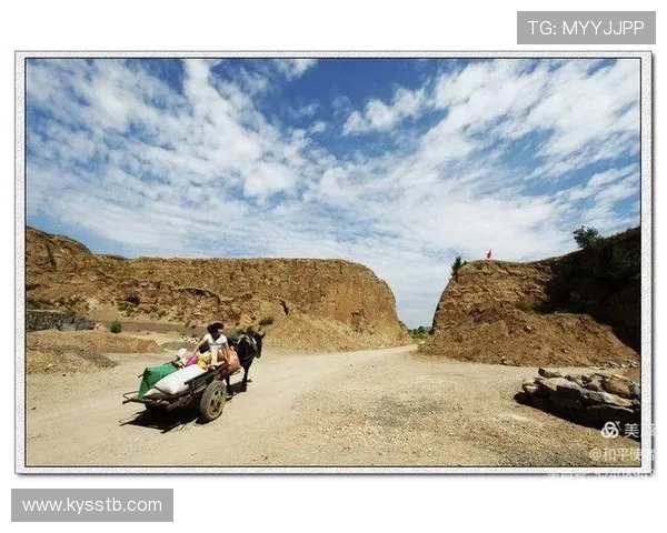 《走西口》全集播放：一段荡气回肠的岁月传奇，一次震撼心灵的视听盛宴